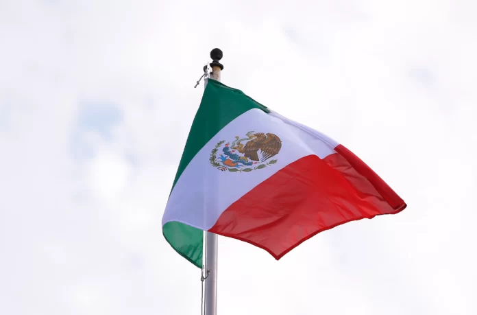 Quema-coches-doblega-delincuencia