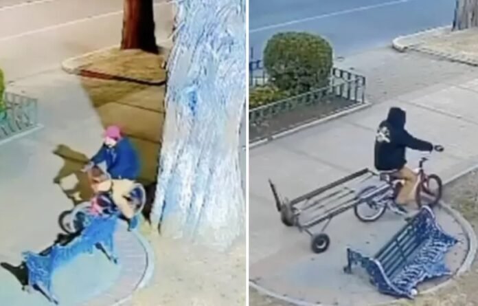 robaron-banca-vialidad-paseo-colon